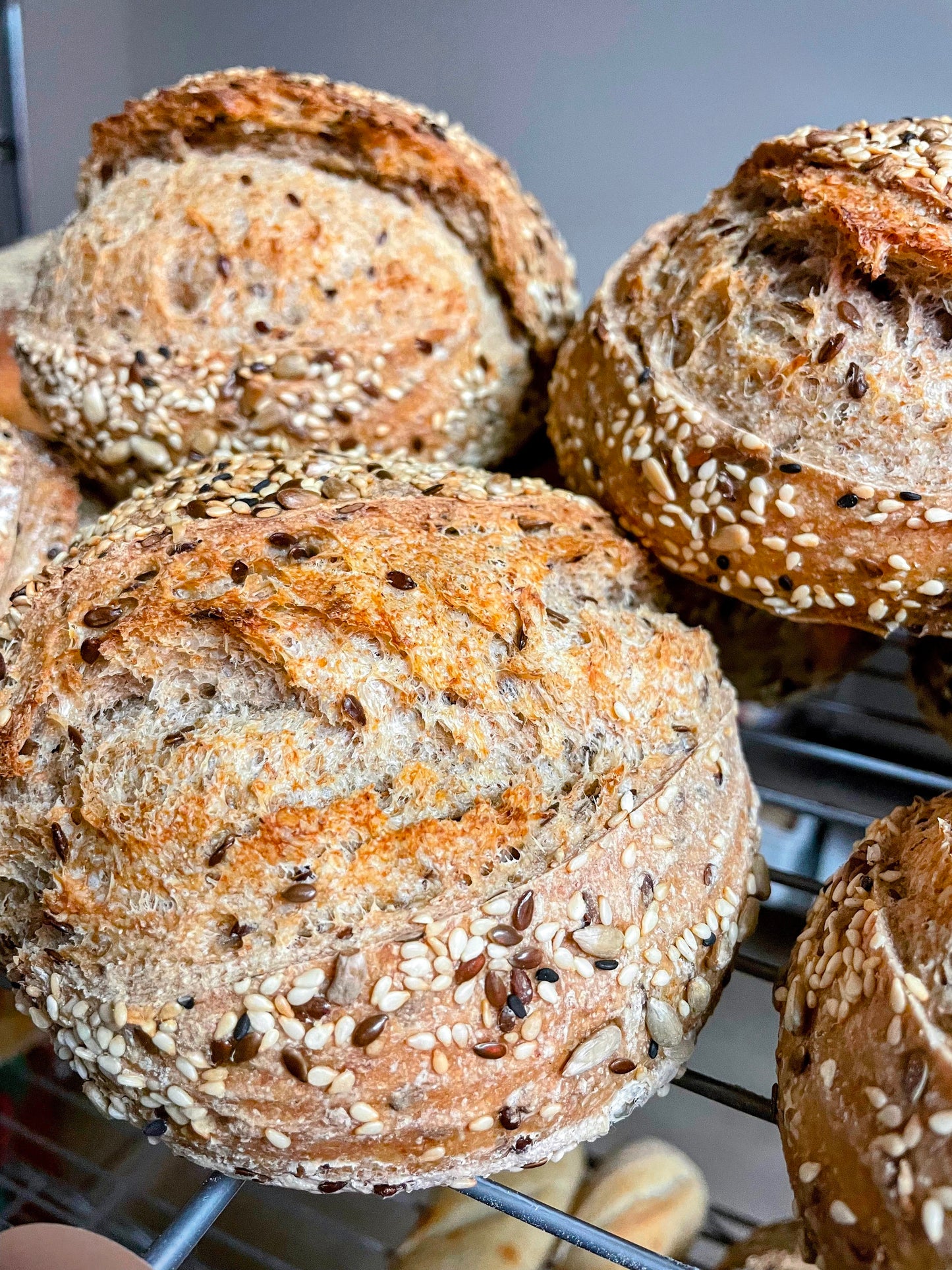Little German Sourdough