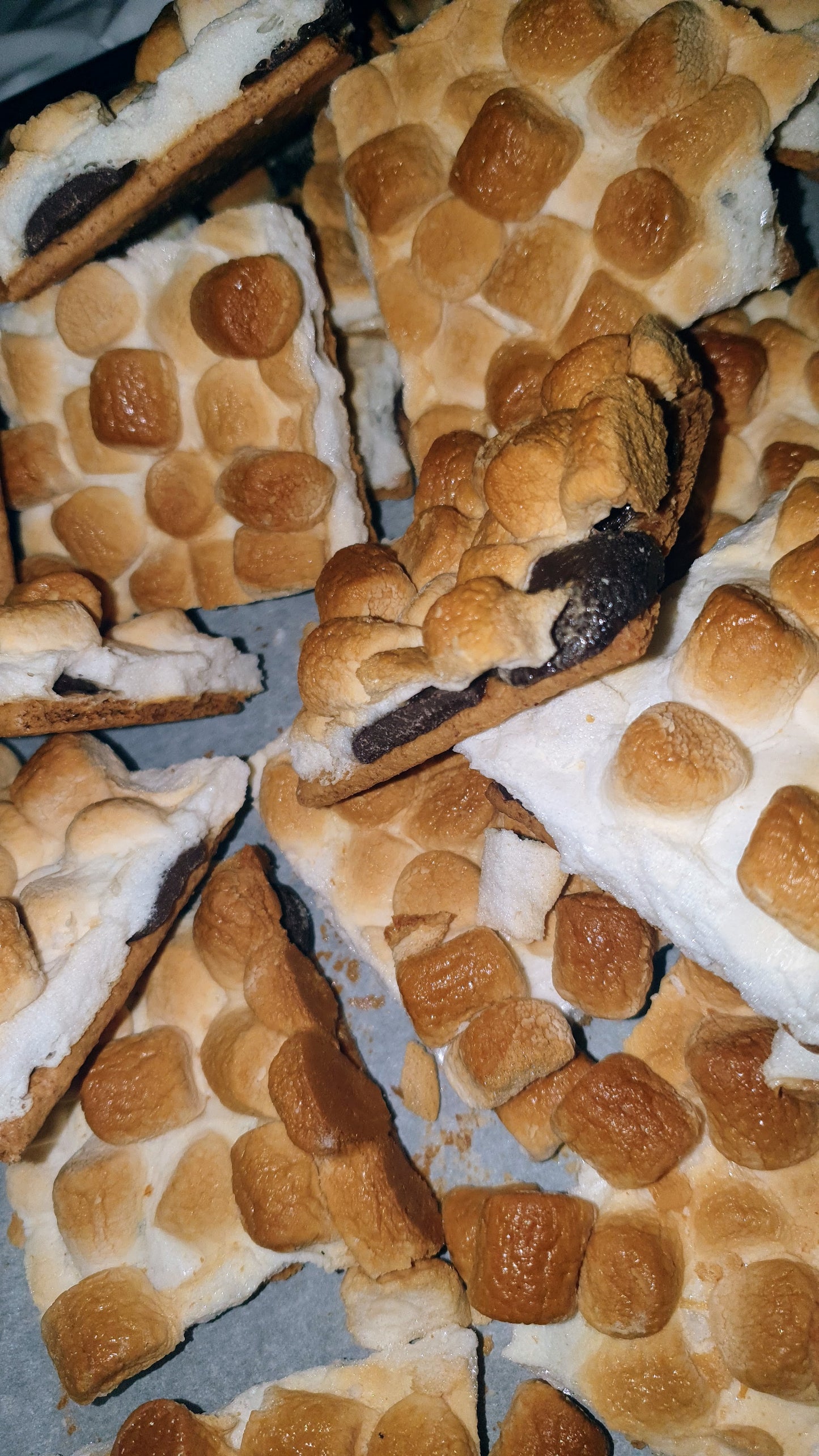 Close-up of s'mores with roasted marshmallows and graham crackers.