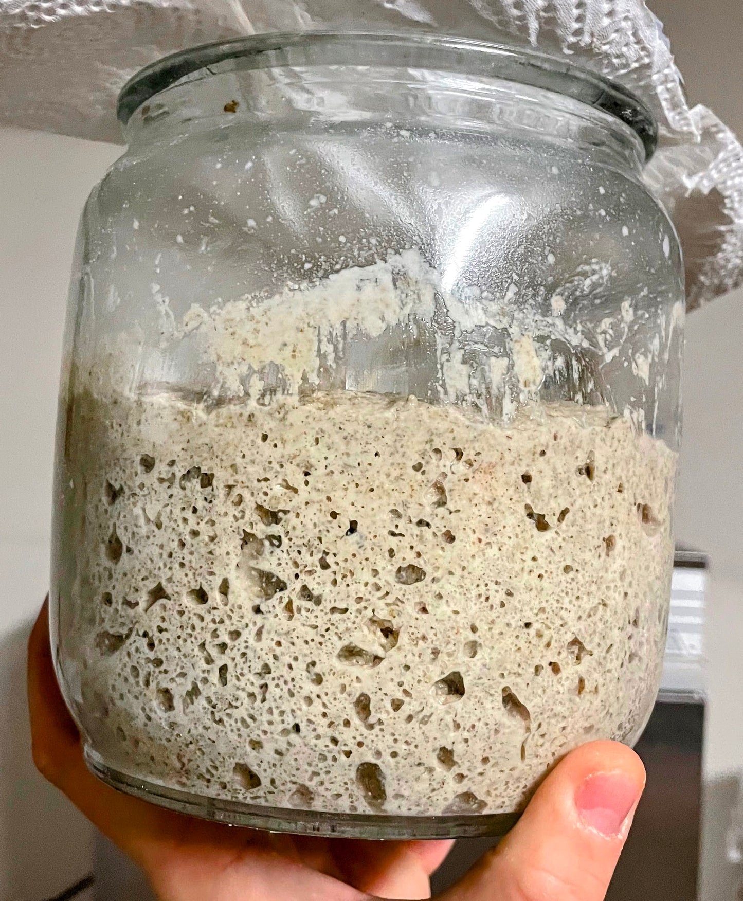 TGB Sourdough Starter - DRY