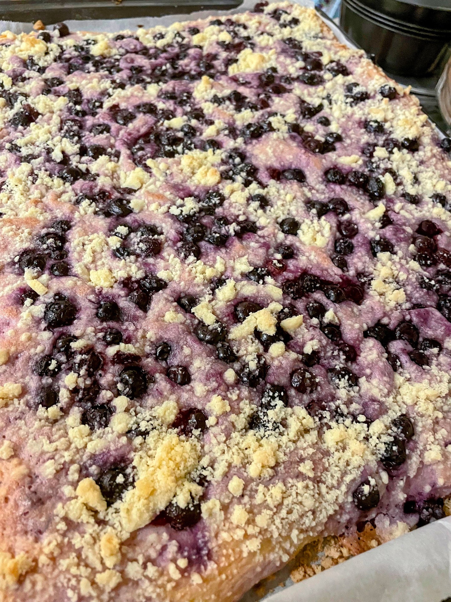 Sourdough Cake - Blueberry & Cream Cheese