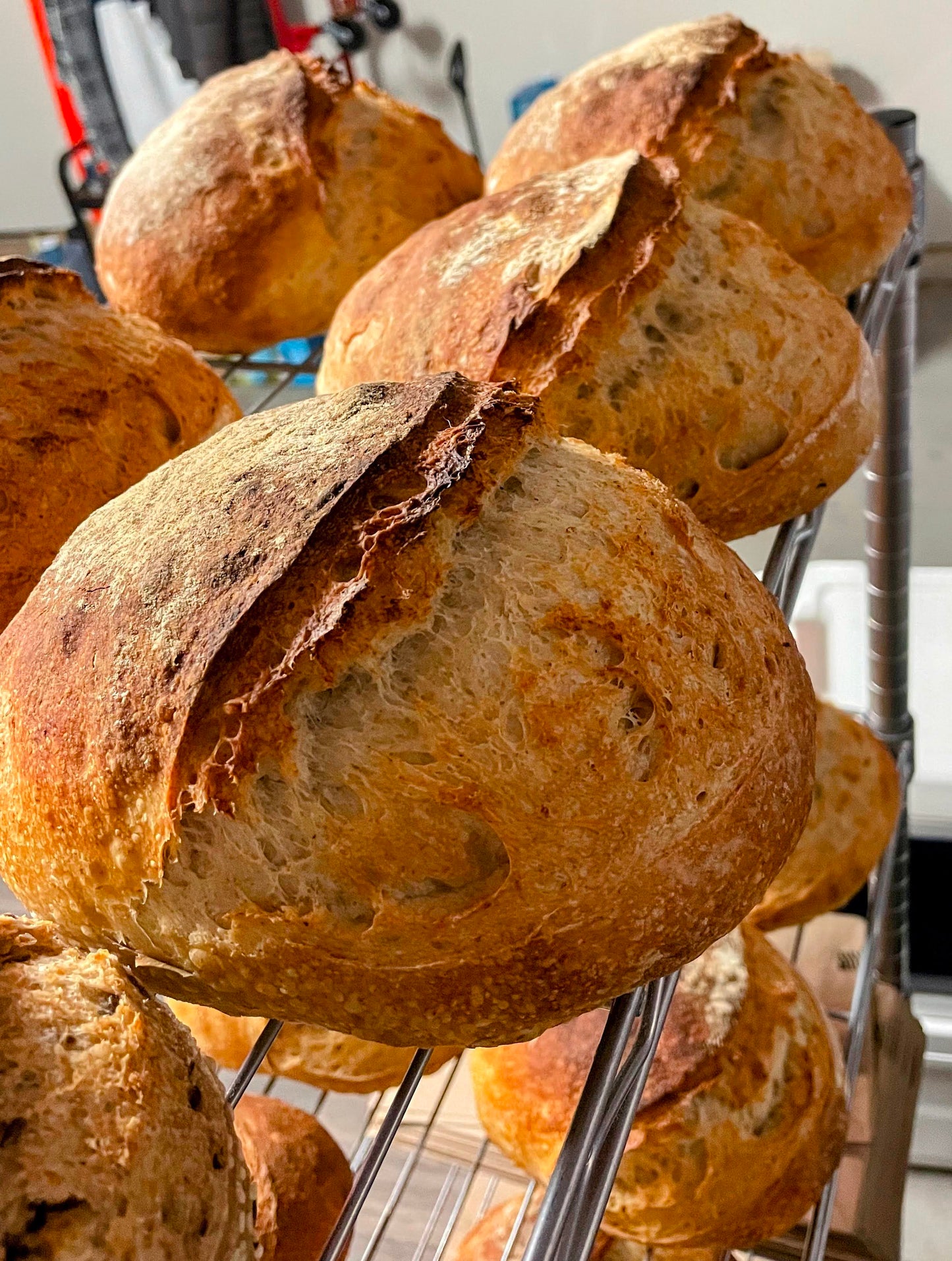 Classic Sourdough
